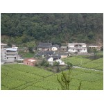 016-Br.David's ancestral house nested at the foot of the hill.jpg